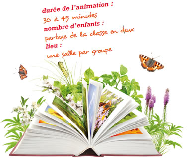 education-contenus-sensibilisation-5