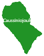 Caussiniojouls