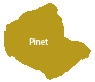 Pinet