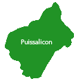 Puissalicon